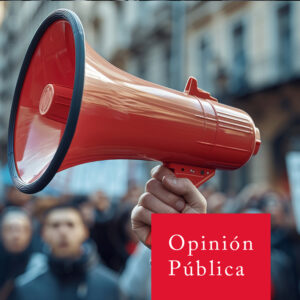 Área de observación del OCSPI: opinión pública