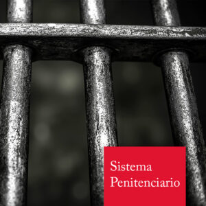 Área de observación del OCSPI: sistema penitenciario