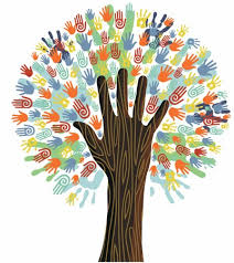 OCSPI - entidades sociales